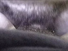 Більше дивитися