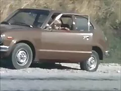 Данська-vintage