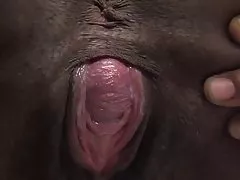 Lactamanija - Кейша