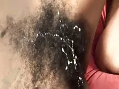 диплом на comp1 чорний волохаті кицьки