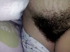 Волохаті кицьки