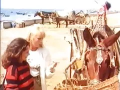 Німецька класична