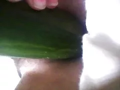 Дружина волохаті кицьки