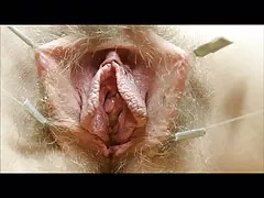 Кицьки, спів