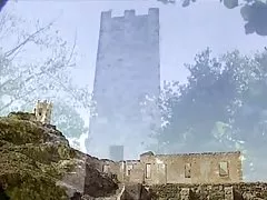 Тропічний спецій