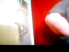 Ll леді Лінн