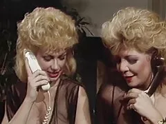 Я хочу знати більше про pussys