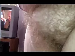 Волохаті кицьки дружин поруч з мого обличчя