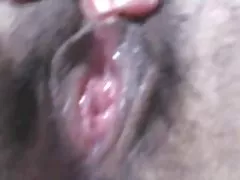 Мокра і волохаті кицьки