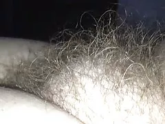 Вид збоку мої дружин довгі м'які волохаті кицьки