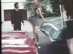 Суки на дорозі