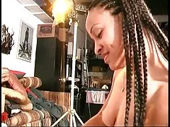 Волохаті starla міжрасові